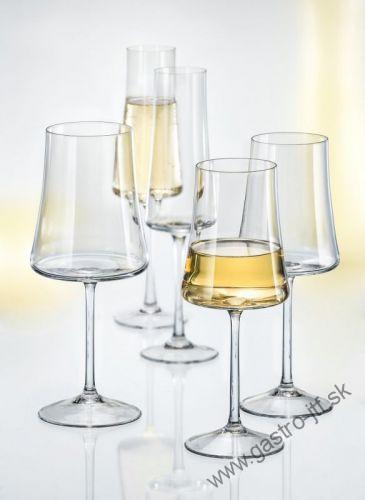 Wine 560 ml XTRA