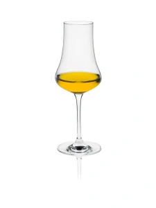 Pohár na rum a destiláty Fruit spirits glass 260 ml