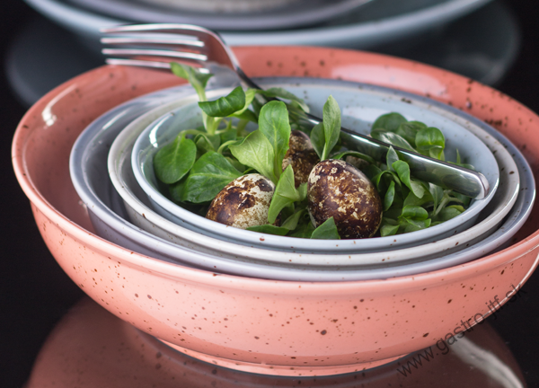 Miska 17 cm RainForest