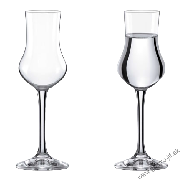 Pohár Grappa WINE FESTIVAL 90 ml