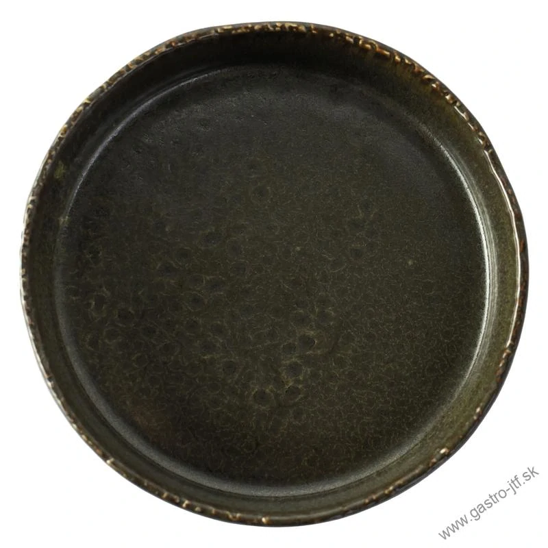 Alga tanier plytký pr. 20,6 cm (vysoký okraj)