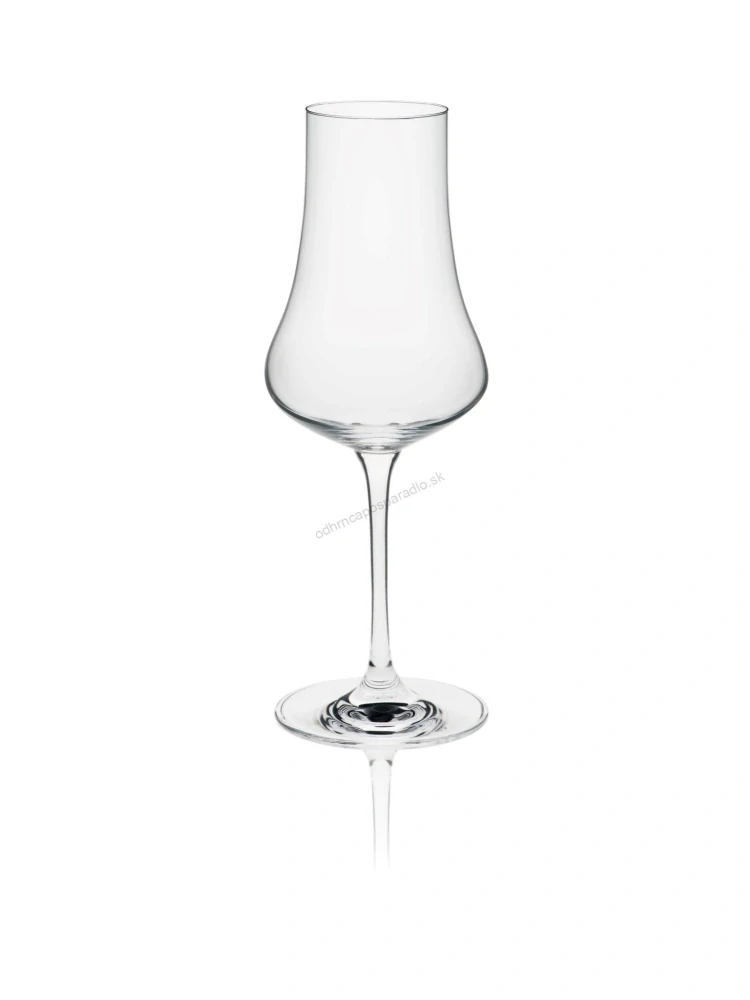 Pohár na rum a destiláty Fruit spirits glass 260 ml