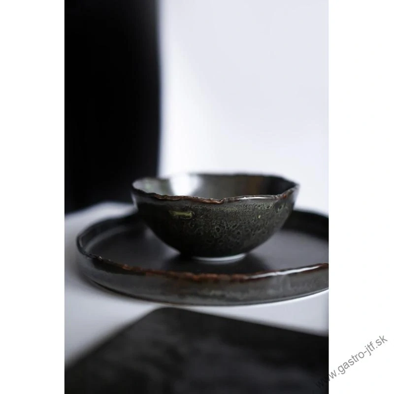 Alga tanier plytký pr. 21 cm